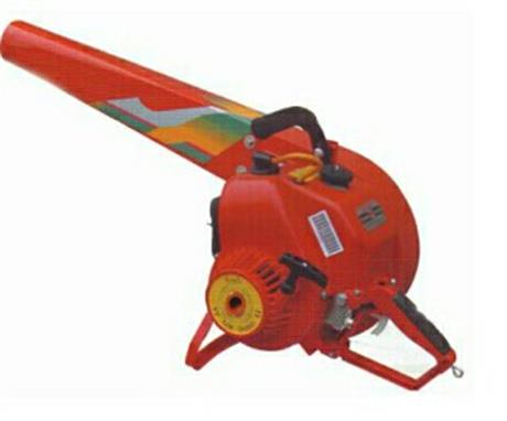 ɭ�ַ�������