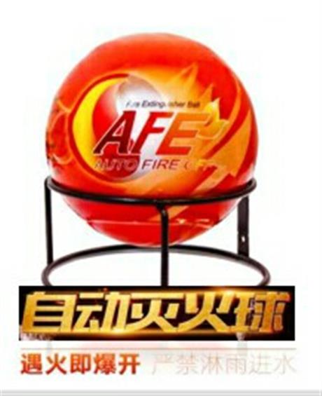 �Զ������